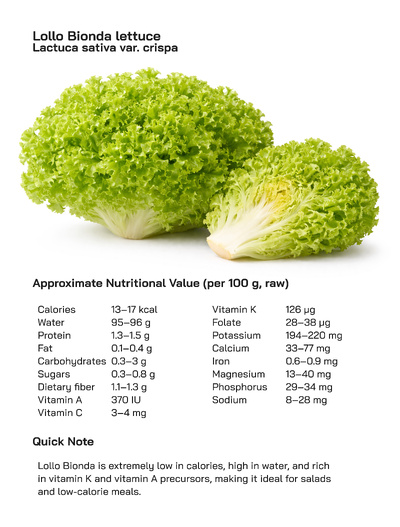 Lollo Bionda (Lactuca sativa var. crispa): Health Benefits, Uses, and Global Popularity