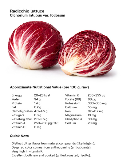 Radicchio (Cichorium intybus var. foliosum): Health Benefits, Uses, and Global Popularity