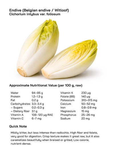 Endive (Belgian Endive / Witloof): Health Benefits, Uses, and Global Popularity