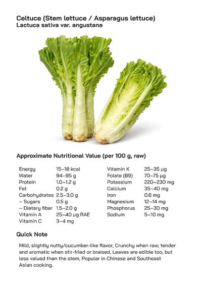 Celtuce (Stem Lettuce / Asparagus Lettuce) – Lactuca sativa var. angustana: Health Benefits, Uses, and Global Popularity