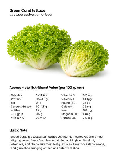 Green Coral Lettuce (Lactuca sativa var. crispa): Health Benefits, Uses, and Global Popularity